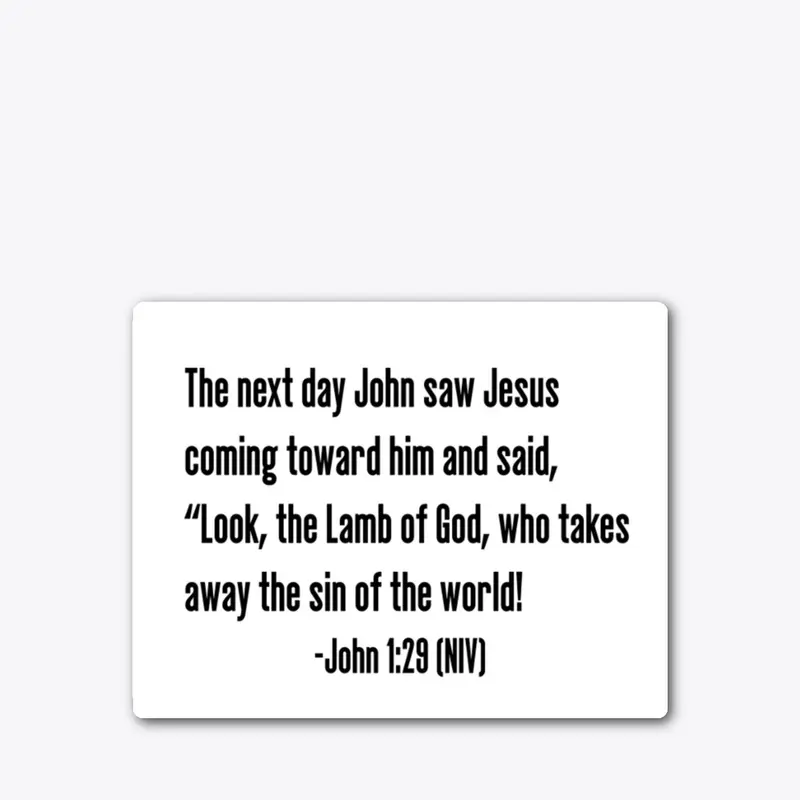 John 1:29 (NIV)